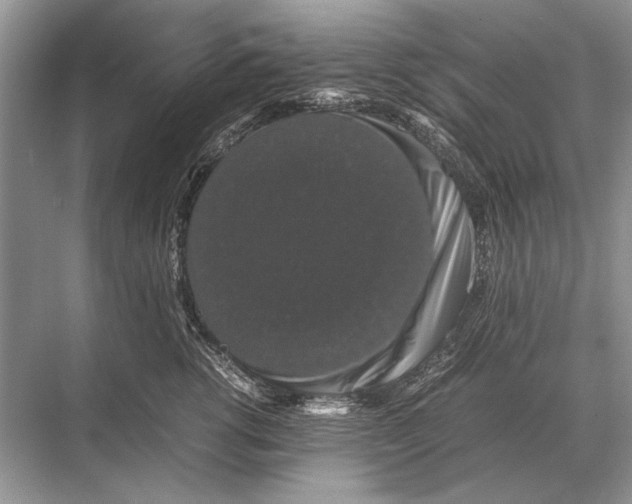 X0000067870762200605041807