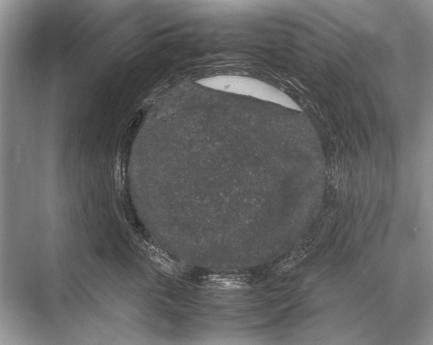 X0000067870763200605041807