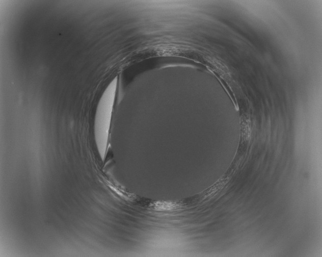 X0000067870766200605041807