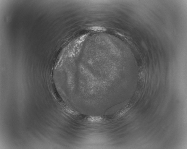 X0000067870767200605041807