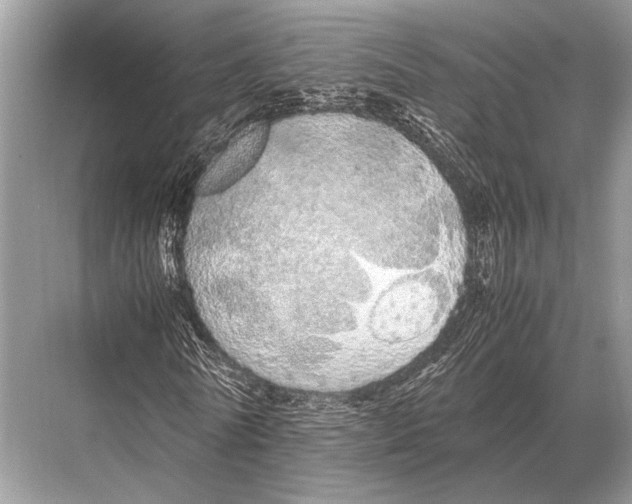 X0000067870770200605041806