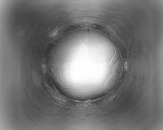 X0000067870771200605041806