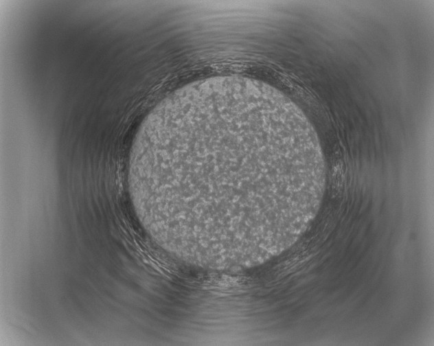 X0000067870772200605041806