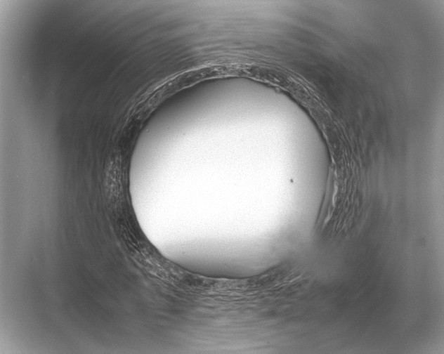 X0000067870773200605041806