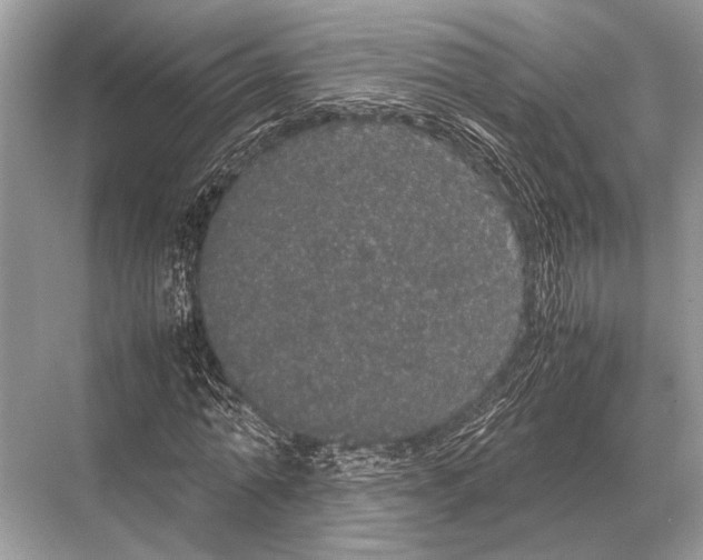 X0000067870774200605041806