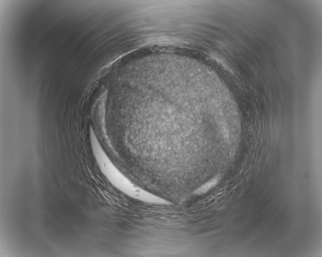 X0000067870775200605041806