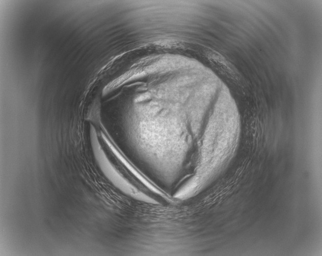 X0000067870776200605041806