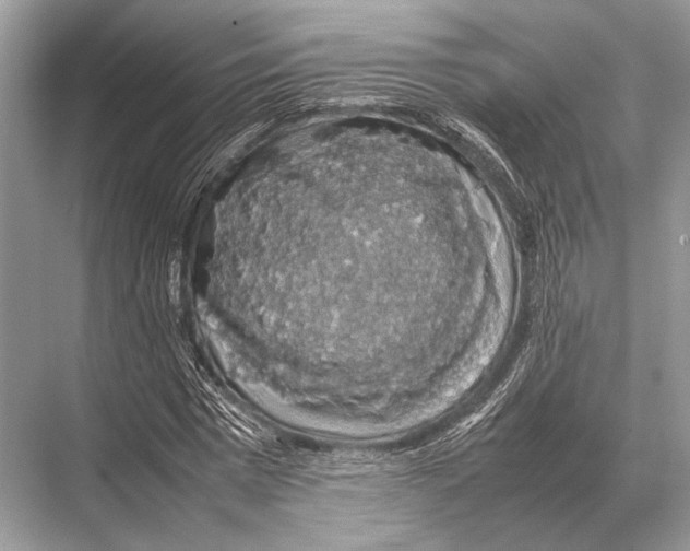 X0000067870777200605041806