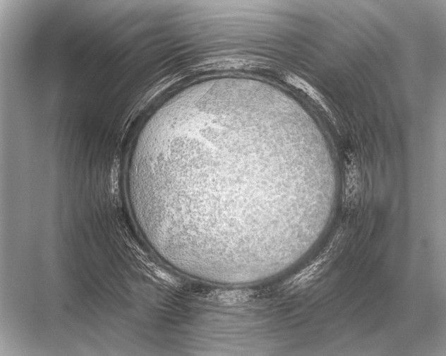 X0000067870778200605041806