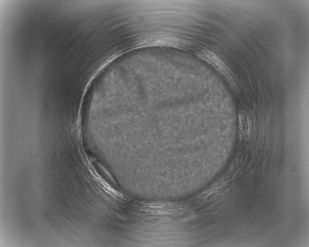 X0000067870780200605041806