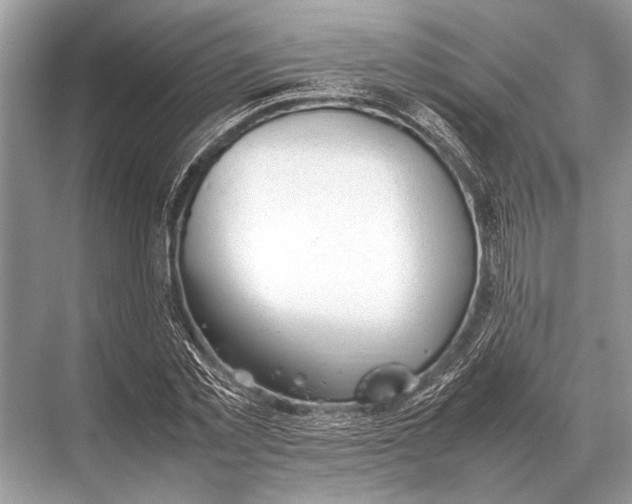 X0000067870781200605041806