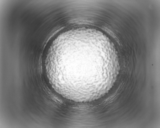 X0000067870782200605041806