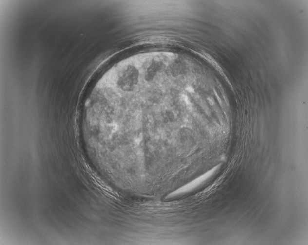 X0000067870783200605041806