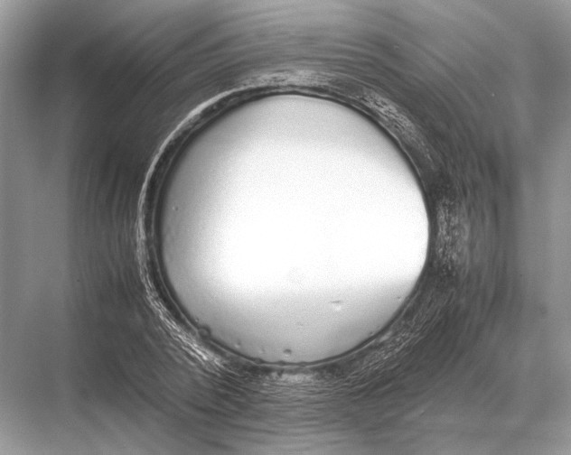 X0000067870784200605041806