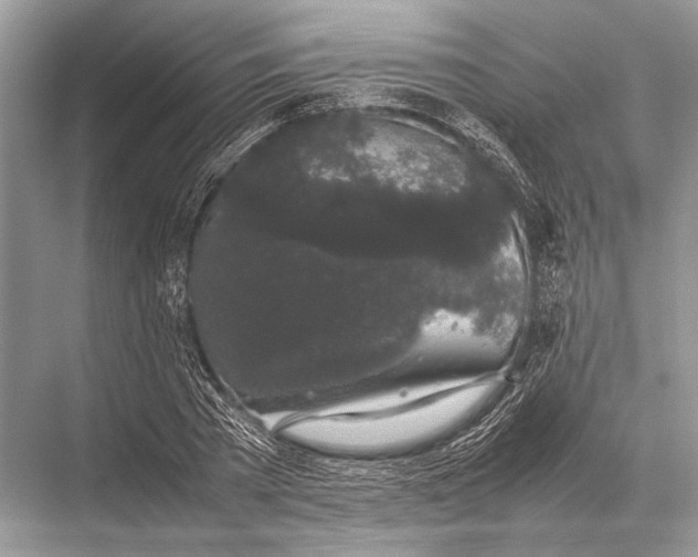 X0000067870785200605041806