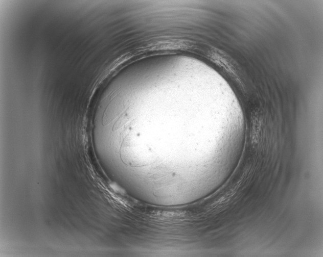 X0000067870786200605041806