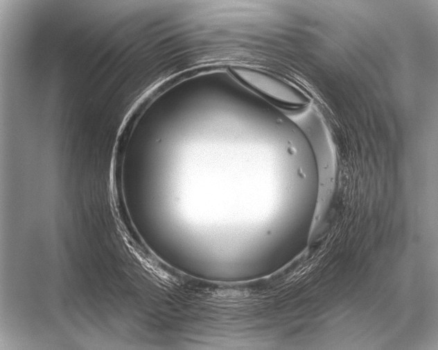 X0000067870788200605041806