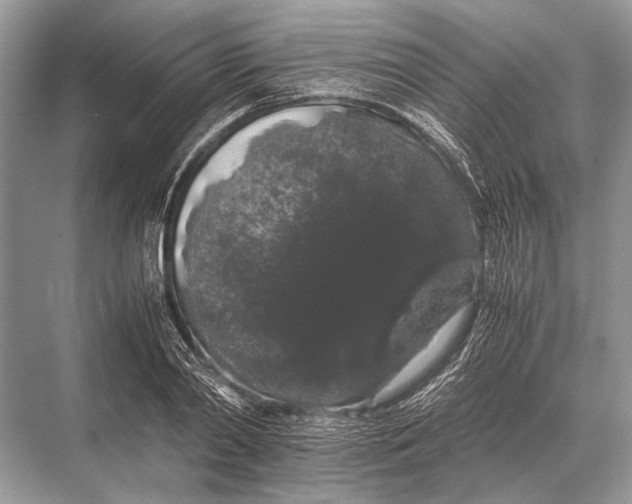 X0000067870790200605041806