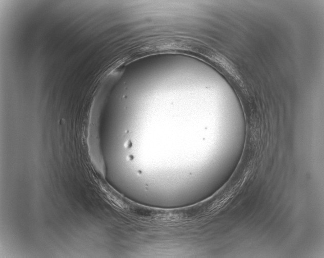 X0000067870793200605041806