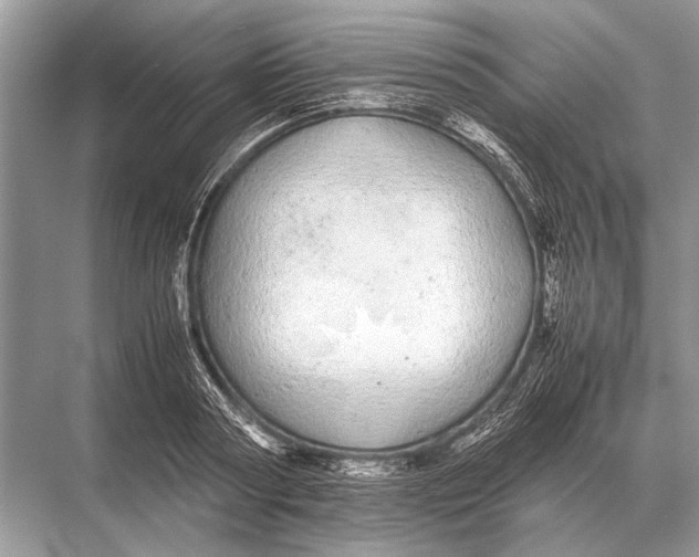 X0000067870794200605041806