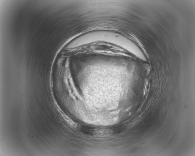 X0000067870795200605041806