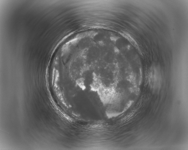 X0000067870798200605041806