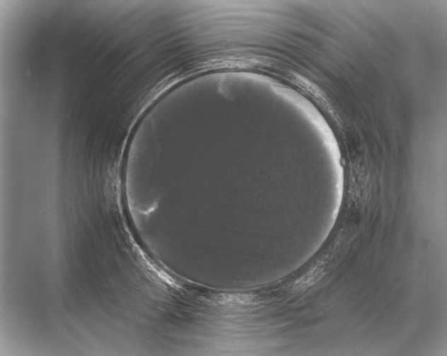 X0000067870802200605041806