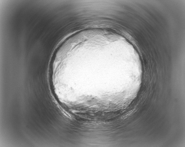 X0000067870803200605041806