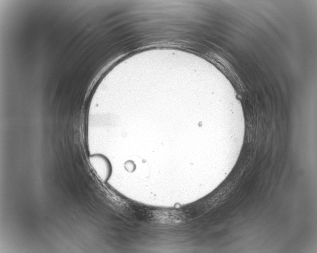 X0000067870804200605041806