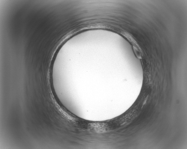 X0000067870805200605041806