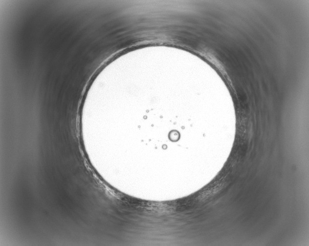 X0000067870807200605041806