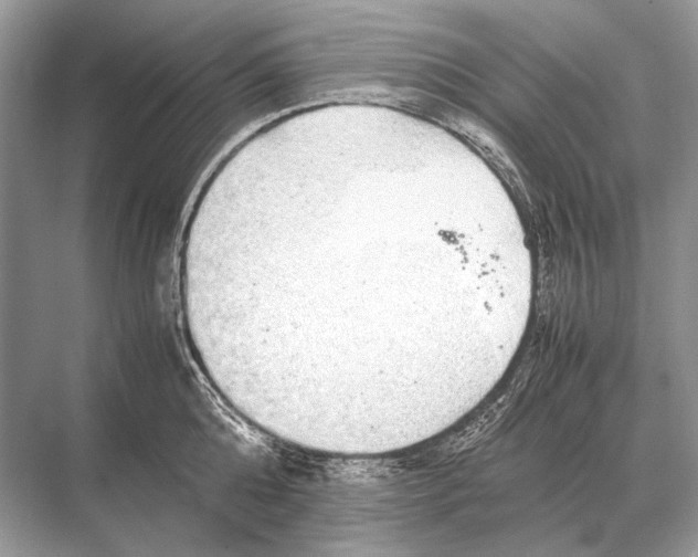 X0000067870808200605041805