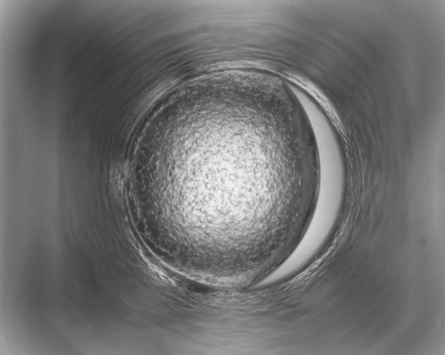 X0000067870809200605041805