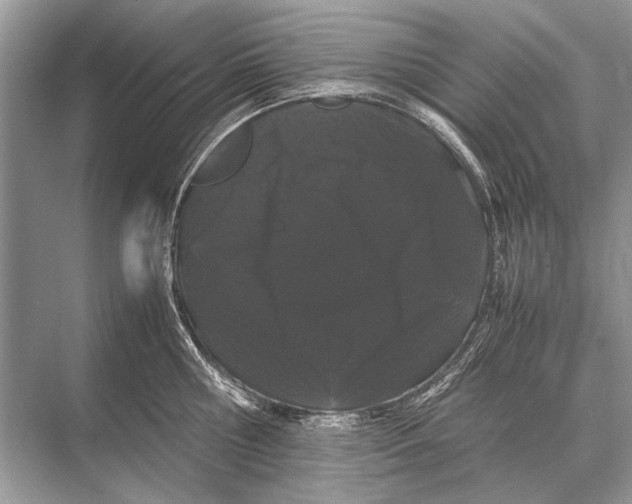 X0000067870810200605041805