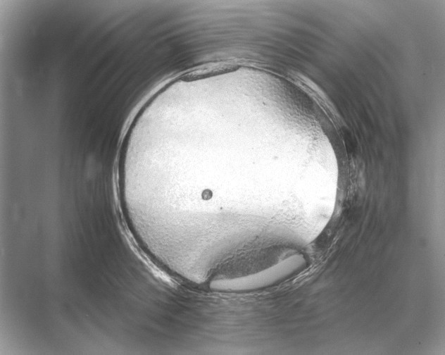 X0000067870812200605041805