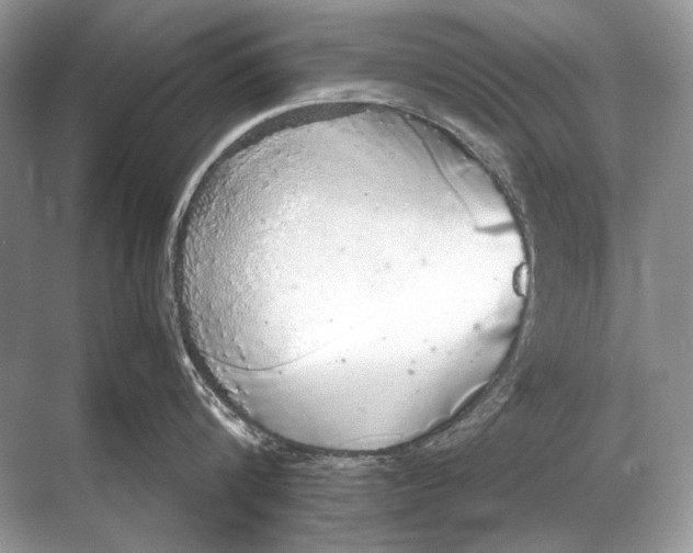 X0000067870816200605041805