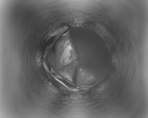 X0000067870818200605041805