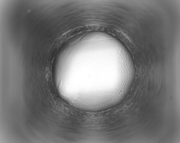 X0000067870821200605041805