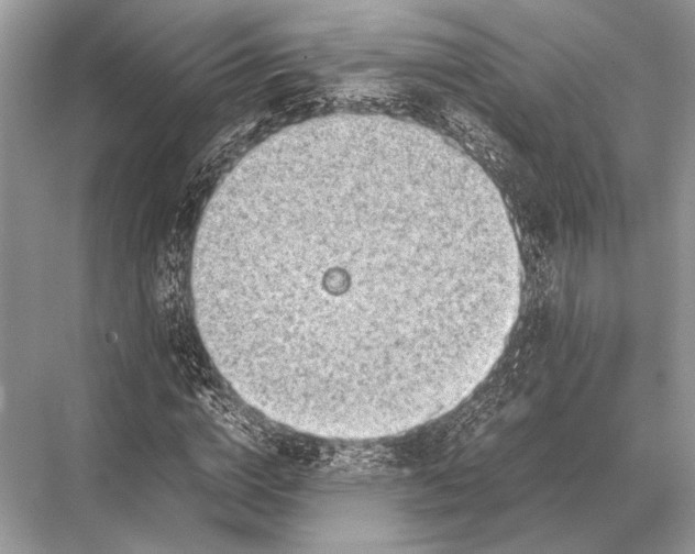 X0000067870824200605041805