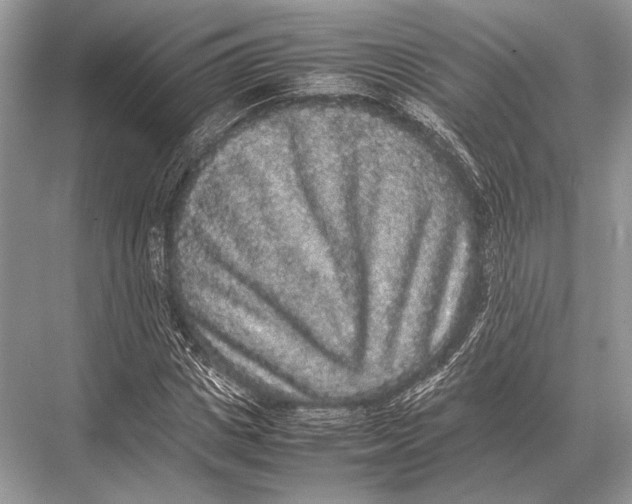 X0000067870825200605041805