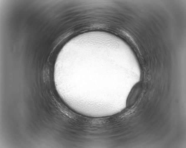 X0000067870827200605041805