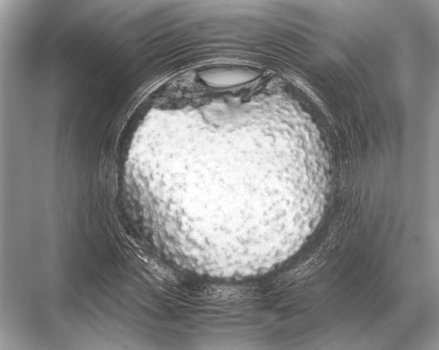 X0000067870829200605041805