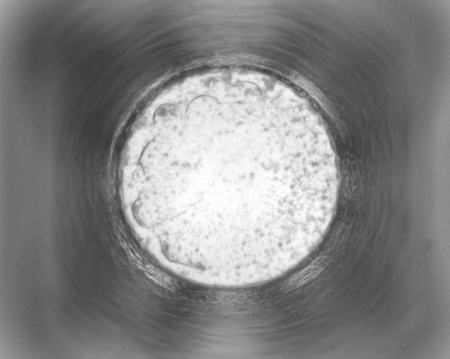 X0000067870832200605041805