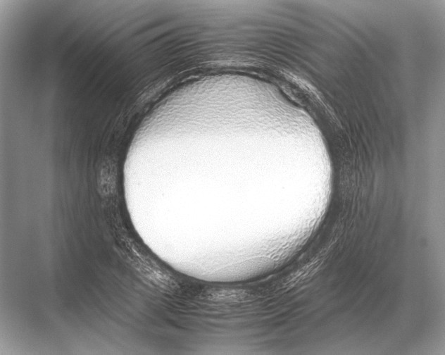 X0000067870833200605041805