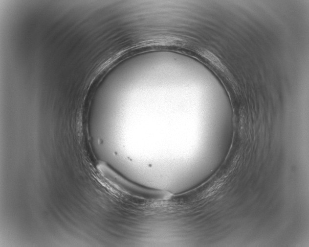 X0000067870834200605041805