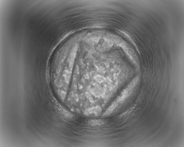 X0000067870835200605041805