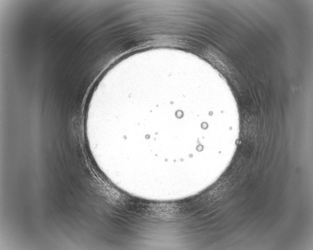 X0000067870836200605041805