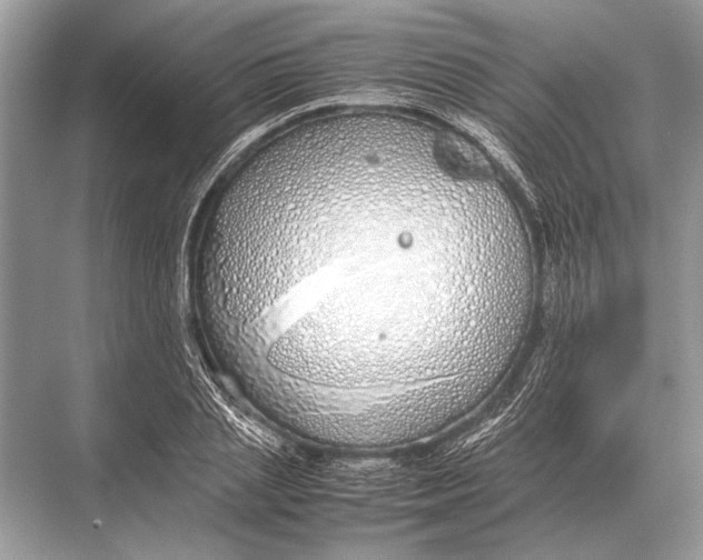 X0000067870837200605041805