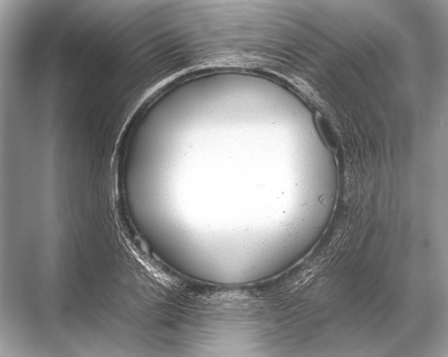 X0000067870838200605041805