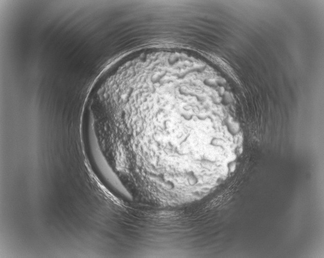 X0000067870839200605041805